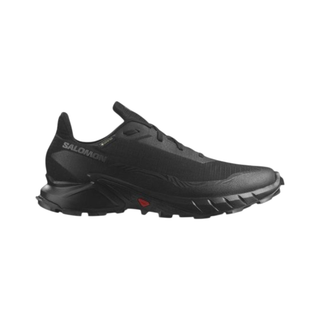 کفش زنانه سالومون مدل 473109 Alphacross 5 Gtx W Outdoor